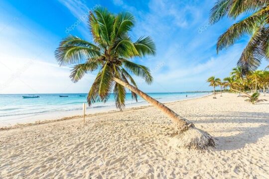 Mother Nature, Tulum and beach paradise with lunch