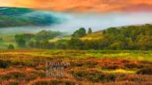 A great day in Brontë country