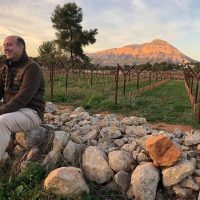 Wine Tasting & Winery Tours