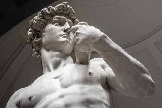 Private Accademia Gallery and Florence City Walking Tour