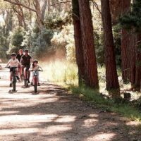 Walking & Biking Tours