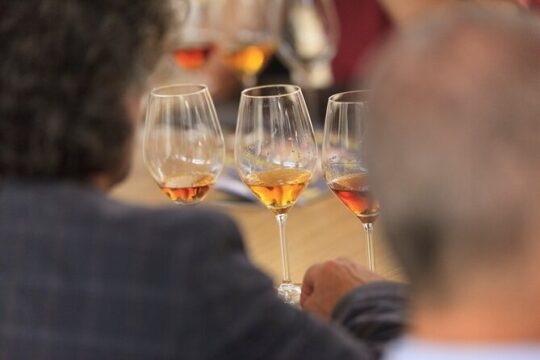 Visit to the Florio winery and wine tasting