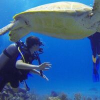 Scuba Diving