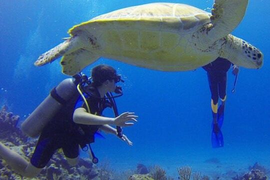 Experience Scuba Diving / NO certification Needed