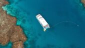 Wonderful and Safe Snorkel Experience