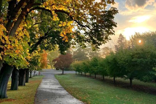 Toronto: Niagara-on-the-Lake, Wine Tasting & Chocolate Day Tour