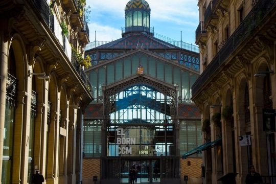 Skip The Line - Early Picasso Museum and Born Neighborhood
