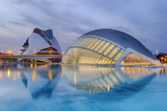 Layover in Valencia a Private Tour with a local: Best Highlights of Valencia
