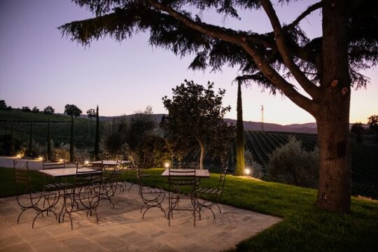 VIP Private Montalcino Wine Tasting in Paradiso with Dinner