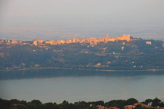 Villa D'Este and Wine Tasting in Castel Gandolfo Private Tour with Driver