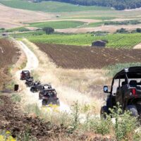 Sidecar Tours