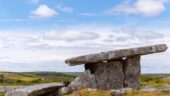Highly recommend for a fun and informative adventure in the Burren.
