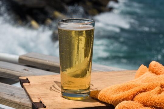 Tacos, Brews and Views Tour