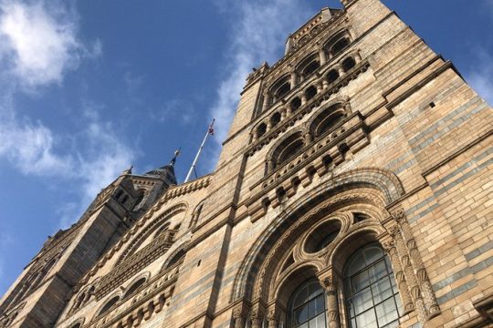 Essential London Full-Day Private Tour by Public Transport