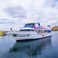 Glass Bottom Boat Tours