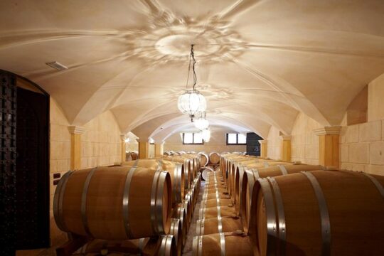 Valpolicella WineTour from Venice: taste Amarone with Sommelier