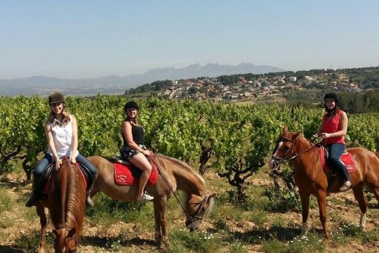Horseback Ride, Penedés, Wine Tasting & Tapas Lunch