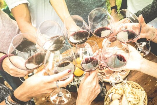 Professional 6 Wines Tasting with Regional Appetizers in a Local’s home - Siena