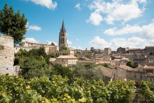 Saint-Emilion : visit of the Village & Château with wine tasting