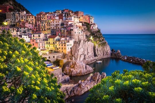 Private EASY Cinque Terre Accessible Tour from Livorno