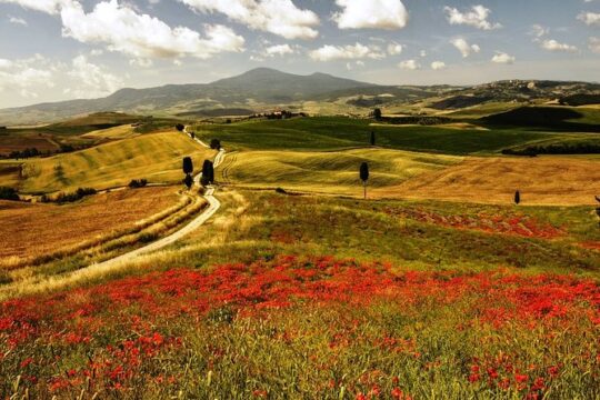 San Gimignano Monteriggioni Tuscany Chianti Wine Tasting Fullday from Florence
