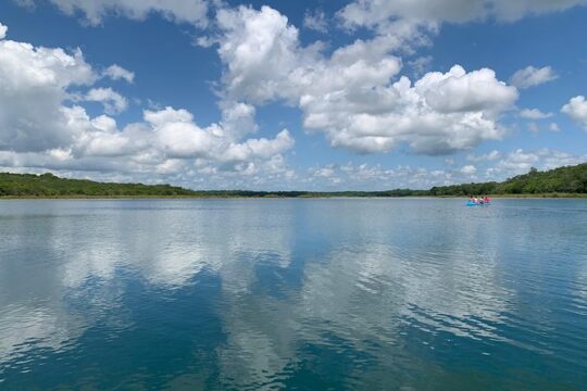 Coba Ruins and Punta Laguna Monkey Reserve Day Tour from Tulum