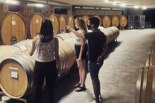 Full day Barolo&Barbaresco Wine Tour from Torino with a local winemaker