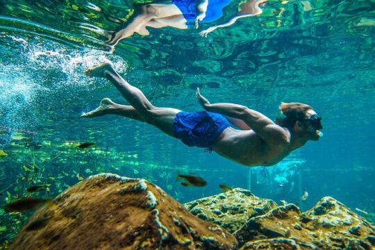 Half Day Tour to Tulum with Snorkel and Cenote from Riviera Maya