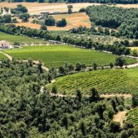 Sustainable Tours