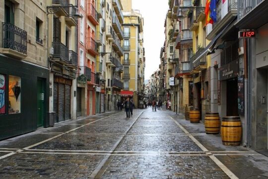 Pamplona City Tour from San Sebastian