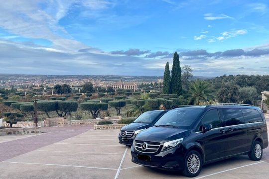 Toledo Private Minivan Tour from Madrid