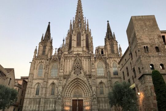 Barcelona Highlights Full Day Tour with a Licensed Tour Guide