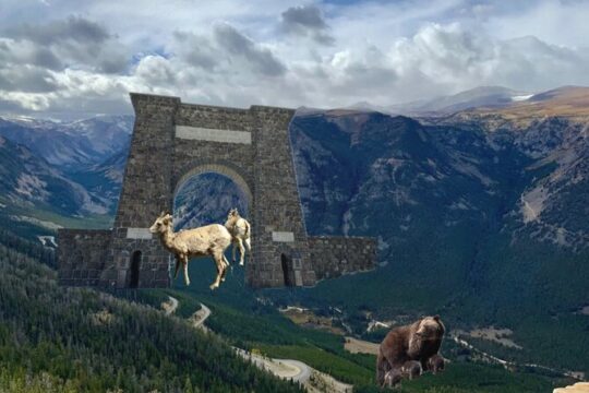 Private Yellowstone Wildlife and Photo Tours West Yellowstone