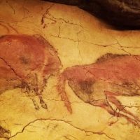 Cultural & Theme Tours