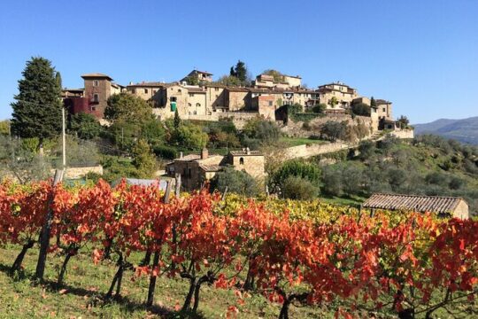 Siena, S. Gimignano, Chianti Road + Villa Strozzi + Wine Tasting