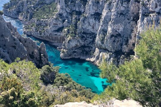 In Vau la Magnifique