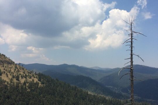 Alpinism Pico del Águila (Ajusco, CDMX)