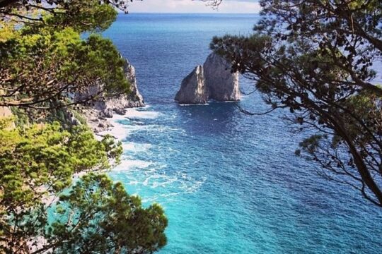 Capri and Pompeii Day Tour from Positano or Amalfi