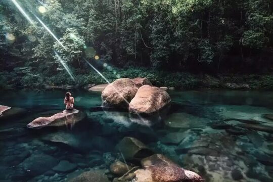 MOSSMAN GORGE TRANSFER between Port Douglas and Mossman Gorge (return)