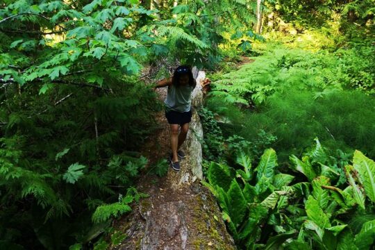 Vancouver Island Rainforest Guided Hike with Private Guide