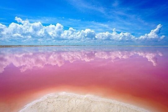 Explore Las Coloradas & Rio Lagartos, Full Day only from Tulum
