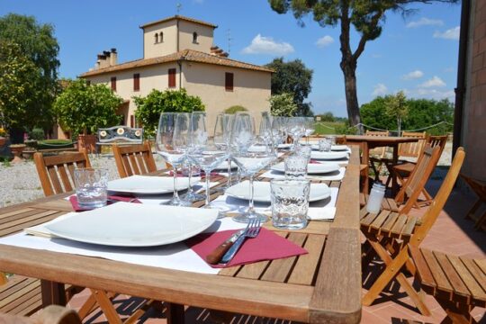 4 Wines Tasting with 2 Tuscan Cheeses & Tour at the winery