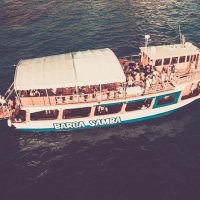 Lunch Cruises