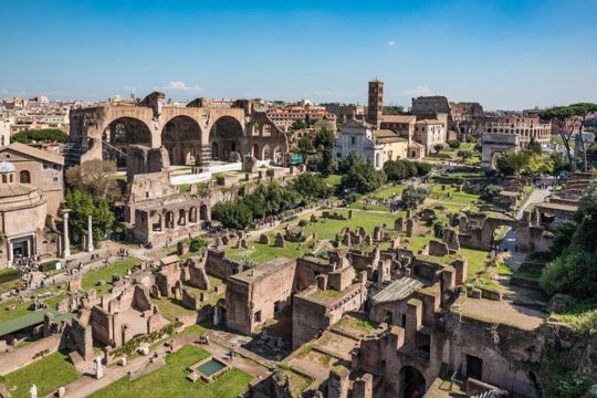 Houses of Augustus and Livia Private Tour with Roman Forum and Palatine Hill