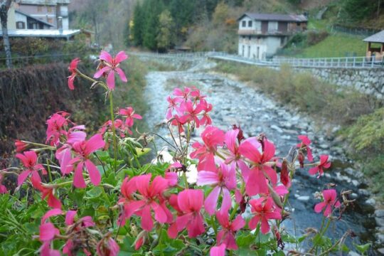 Day trip from Milan: Valtellina and wine tasting - private tour