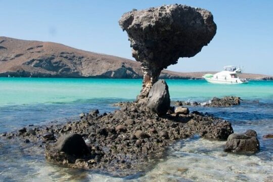 Tour to Playa La Paz from Cabo San Lucas