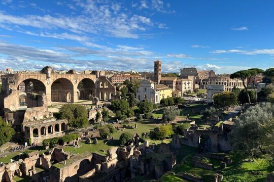 Ancient Rome Discovery: Colosseum, Forum, Palatine Guided Tour