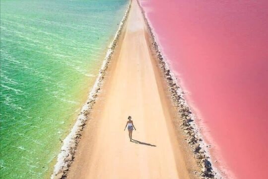 Ria Lagartos, Coloradas & Cancunito Beach from Merida
