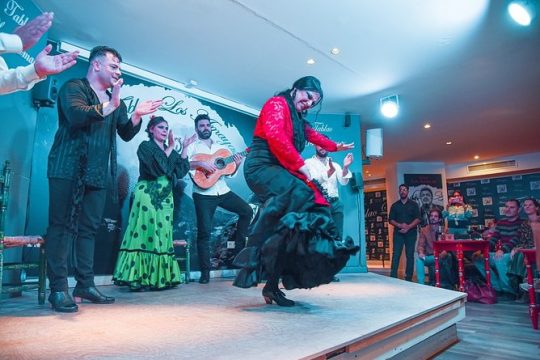 BEST OF Granada: Flamenco, Tapas and Wine Tour