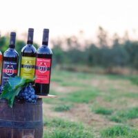 Wine Tasting & Winery Tours